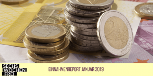 einnahmenreport januar 2019 (1)